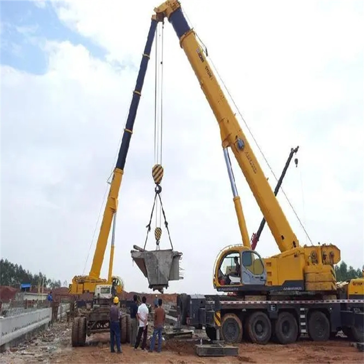 英州镇小型吊机出租电话|厂房设备吊装方案|24小时服务覆盖